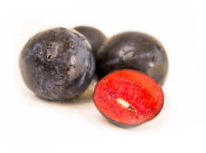 Kakadu Plum Extract from Plant Extracts