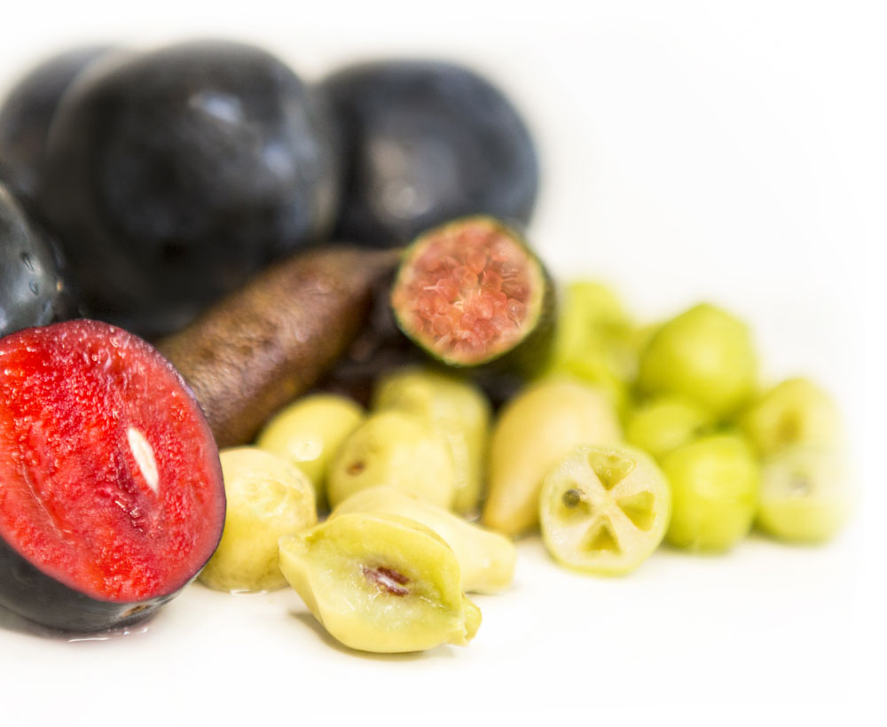 Plant-Extracts-Single-Extracts Single Extracts from Plant Extracts